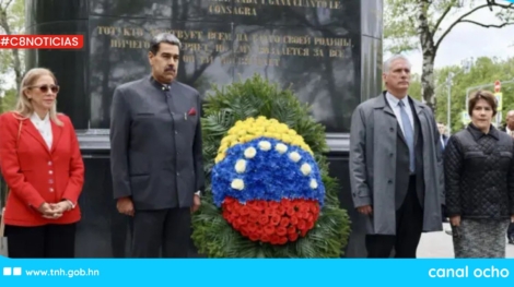 CANAL 8 WEB