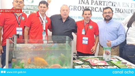 CANAL 8 WEB (4)
