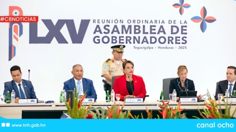 CANAL 8 WEB (5)