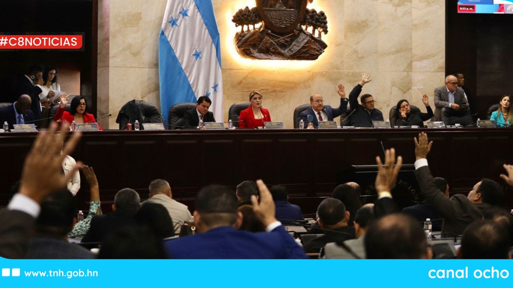 CANAL 8 WEB