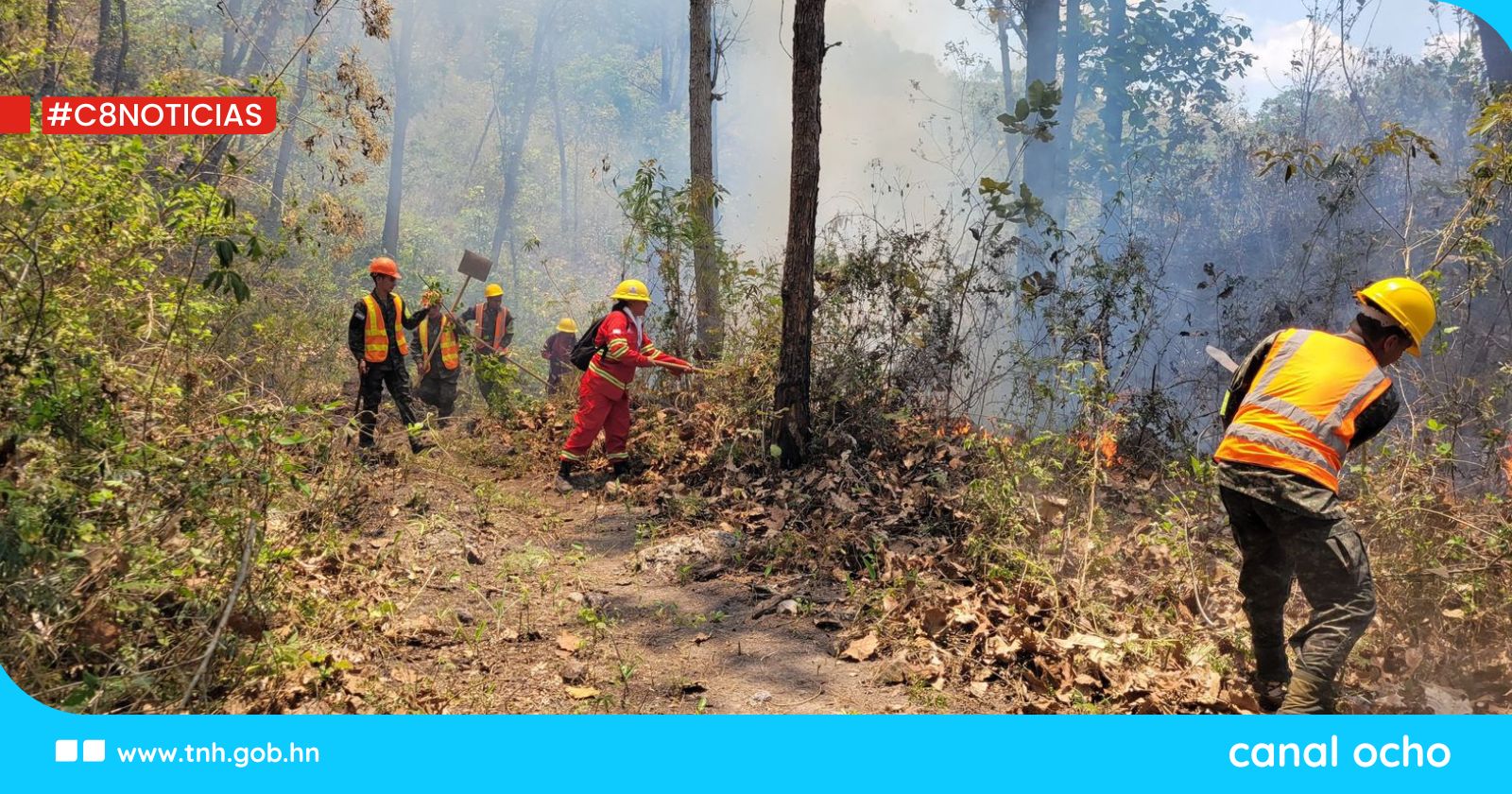 Incendios forestales dañan más de 28,000 hectáreas en lo que va de 2025