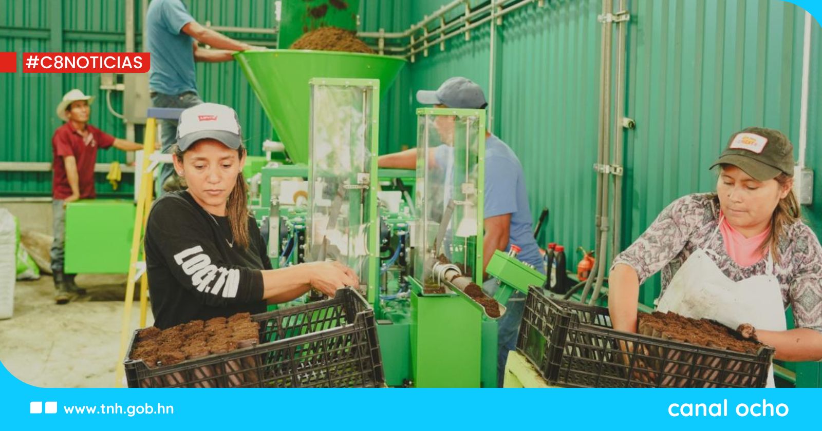 Gobierno implementa restauración ecológica con uso de tecnología biodegradable