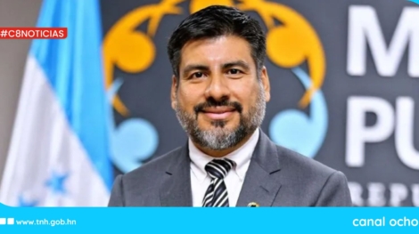 Fiscal General