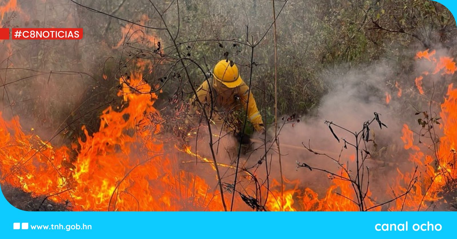 Dictan prisión para incendiario de Ojojona