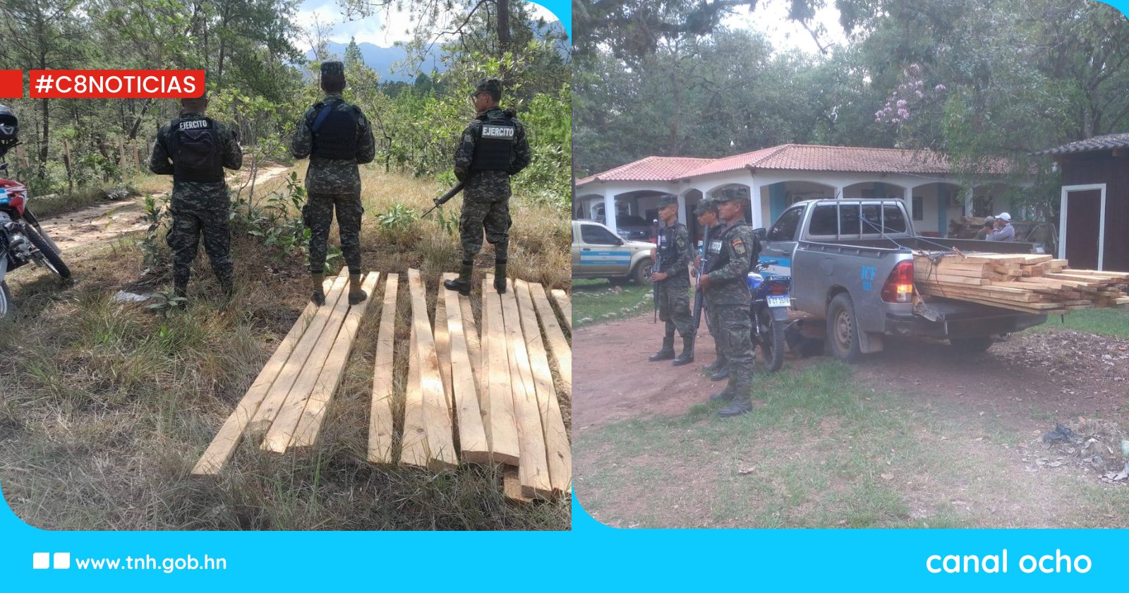 FF. AA. e ICF intensifican acciones contra la tala ilegal en Olancho