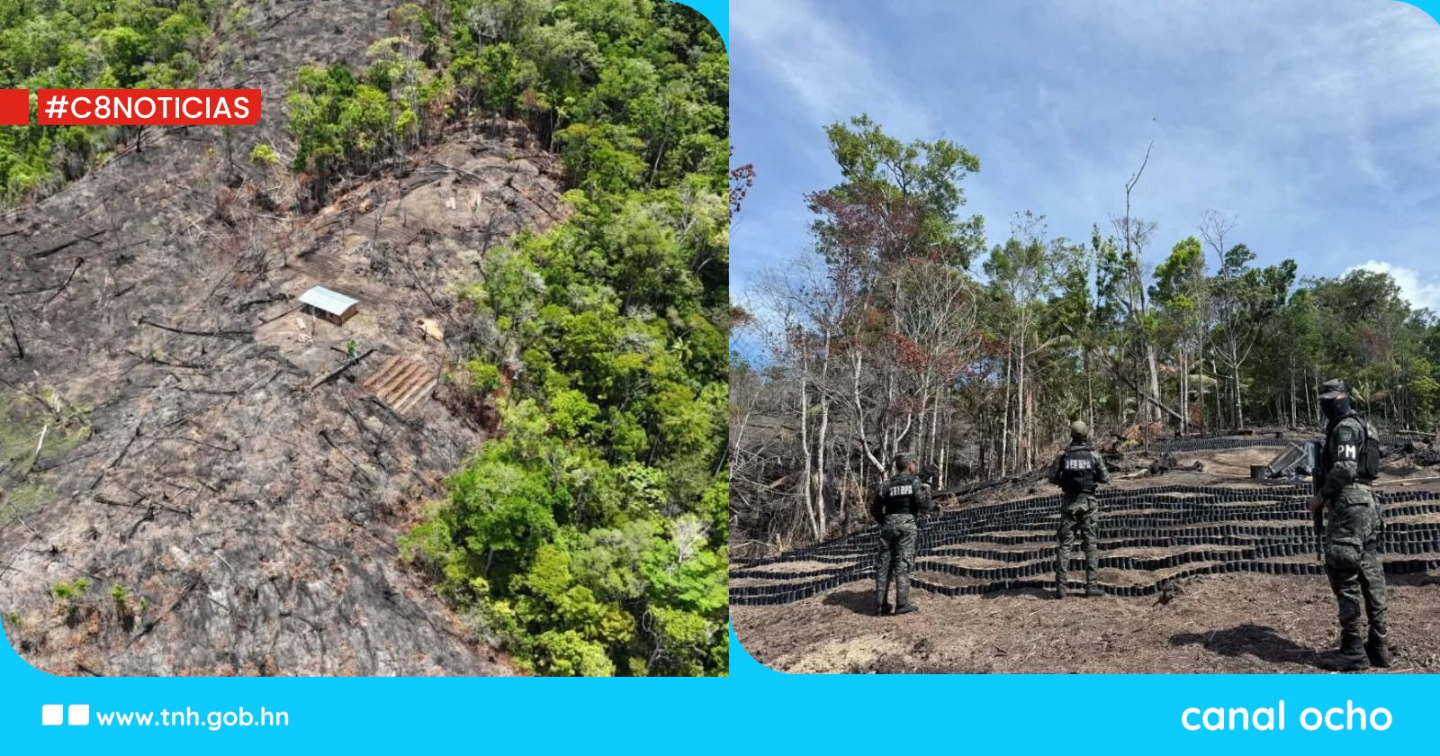 ICF y fuerzas de seguridad detectan descombro ilegal y tala en zona protegida de Catacamas