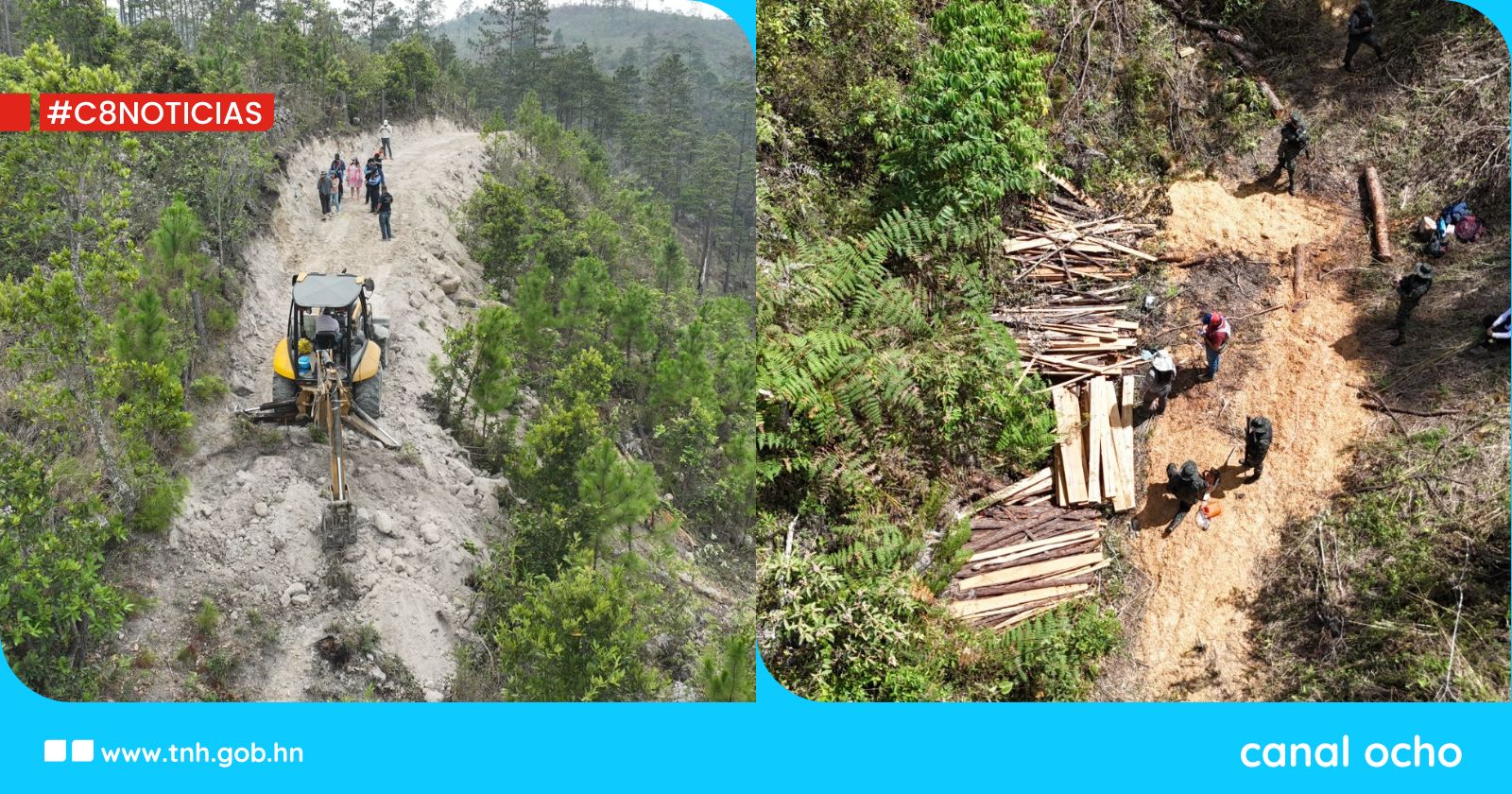 Comisión Cero Deforestación al 2029 reporta 53 áreas protegidas intervenidas