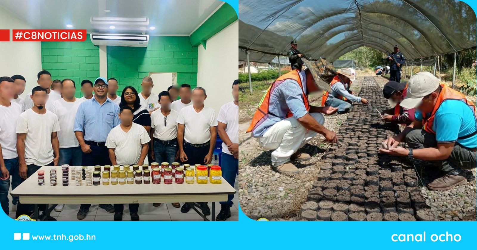 Crece el respaldo institucional a programas de reinserción en centros penitenciarios