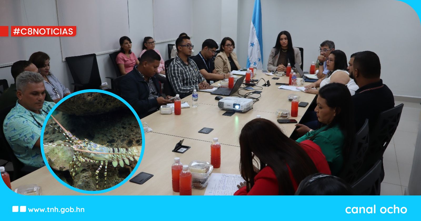 Presentan estudios de prospección de langosta espinosa en el Caribe hondureño