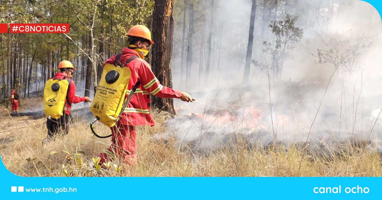 Gobierno reduce afectación por incendios forestales en comparación con el 2024