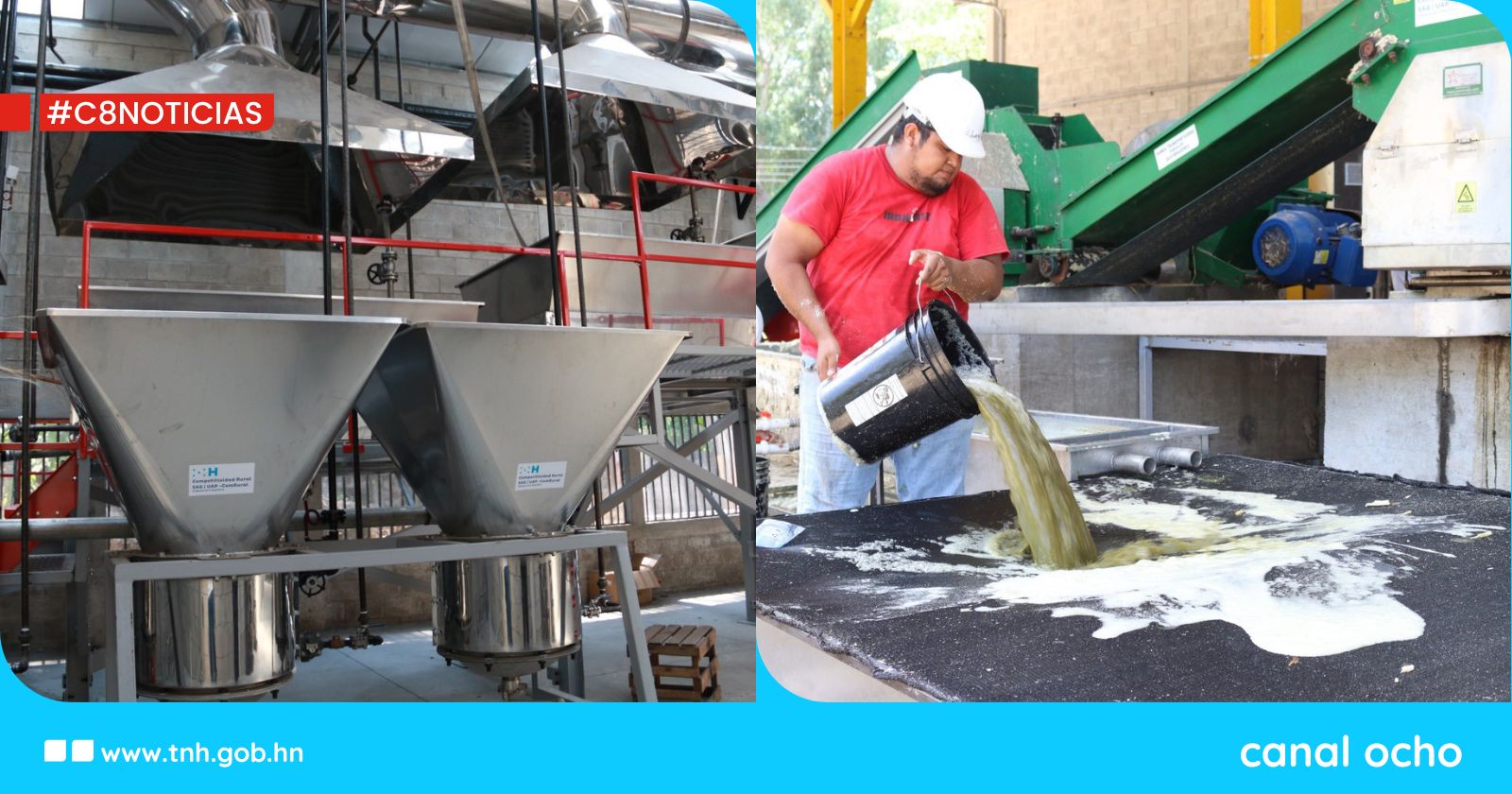 Productores sureños dan un salto a la industrialización de la caña