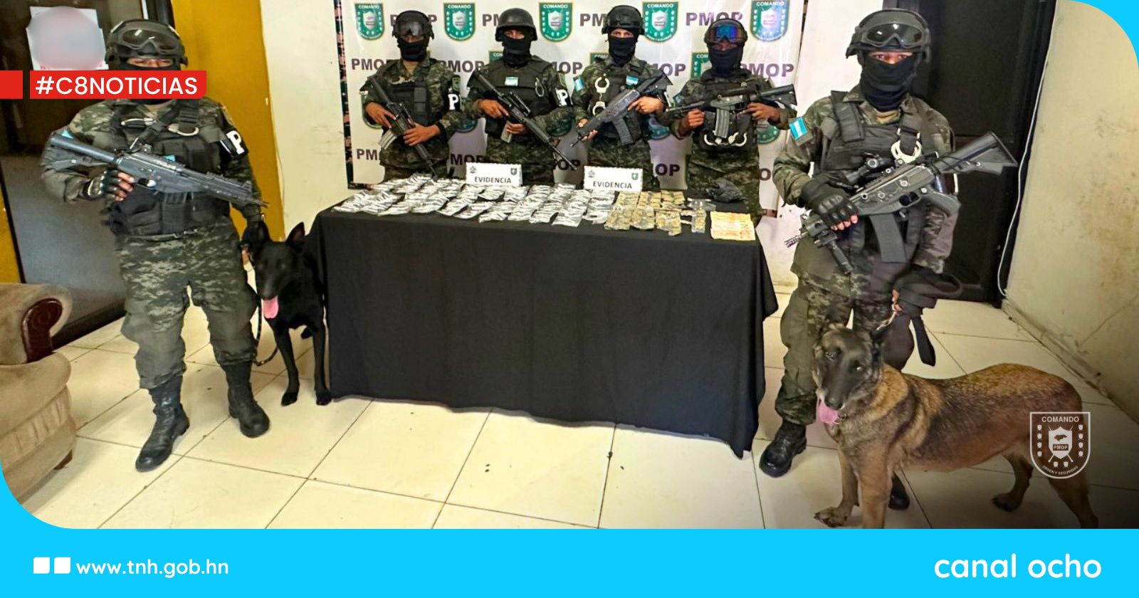 Binomios caninos de la PMOP detectan droga oculta en un negocio de SPS