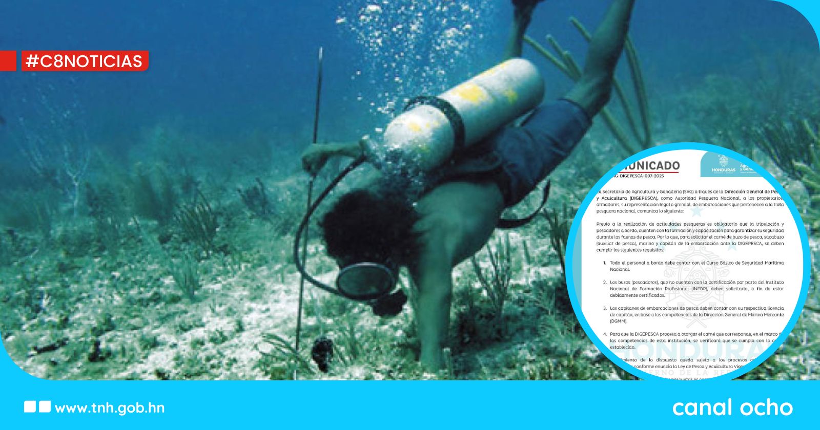 Estos son los requisitos solicitados por Digepesca para licencias a flota pesquera nacional