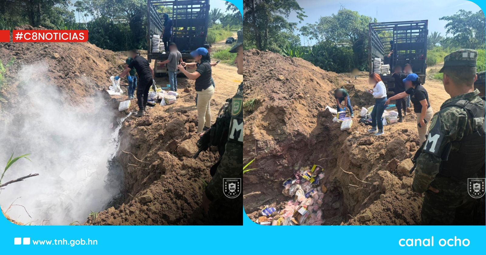 Destruyen libras de tilapia y pulpo por no ser aptos para el consumo