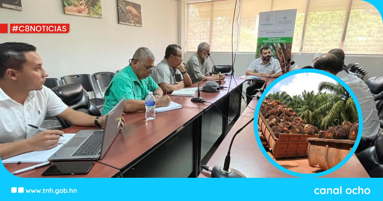 Analizan retos que presenta reglamento de la UE sobre la producción de palma aceitera