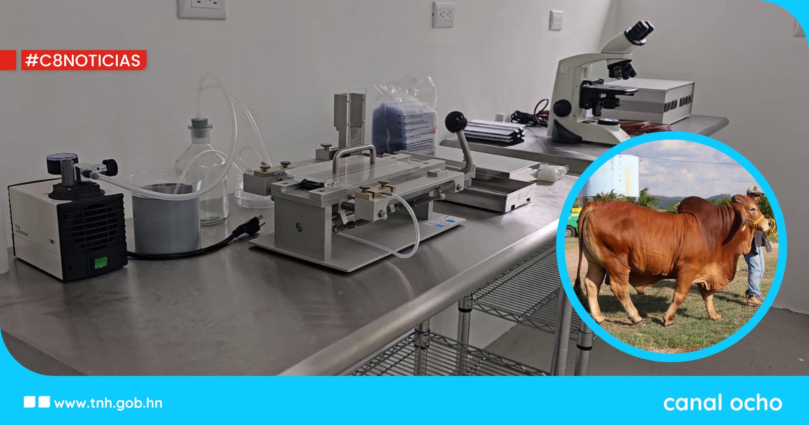Gobierno dotará de sementales a laboratorio de biotecnología reproductiva