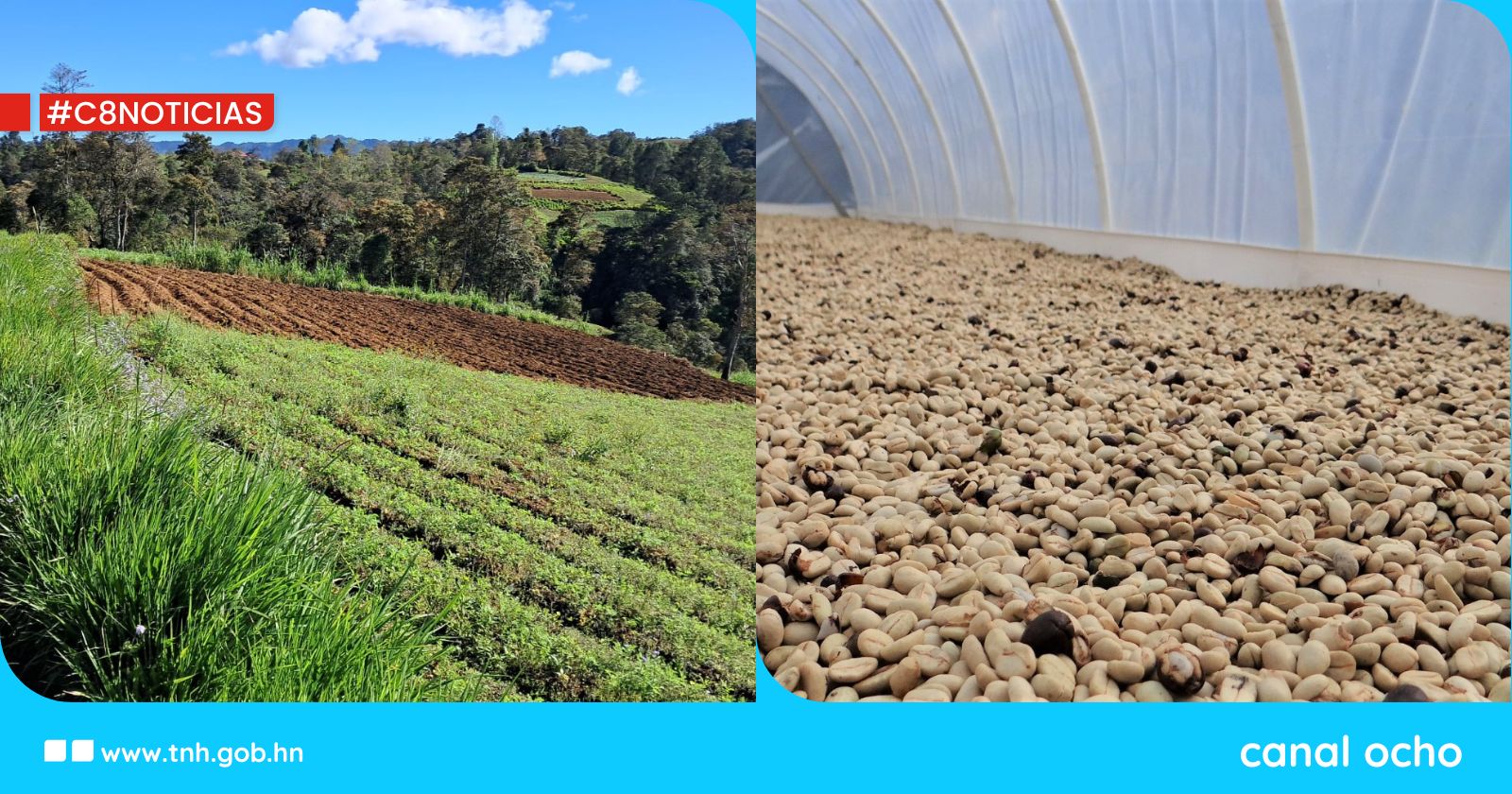 Honduras presenta crecimiento económico de un 4.3% en la producción nacional