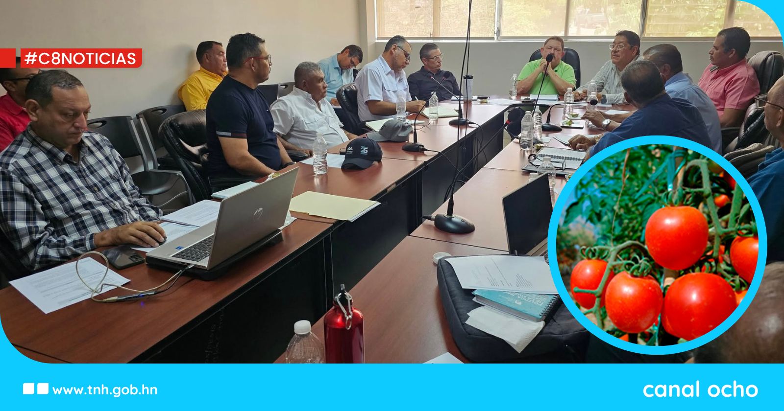 Empresa campesina a punto de convertirse en mayor exportadora de tomates en el país