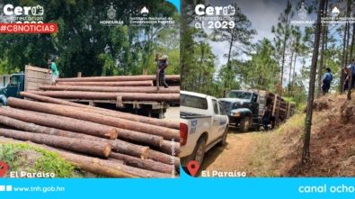madera
