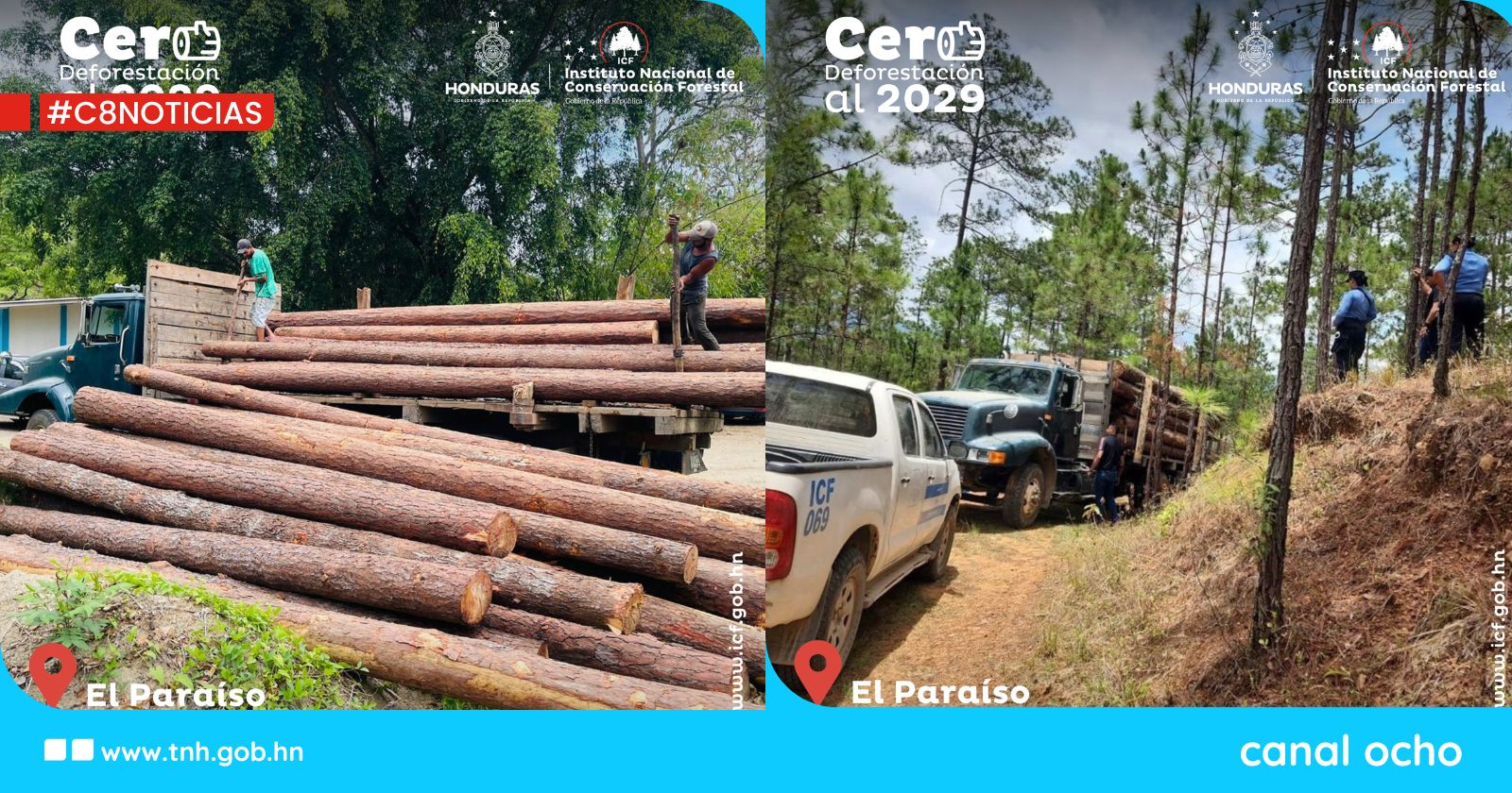 ICF decomisa camión con madera en rollo por irregularidades en Jacaleapa
