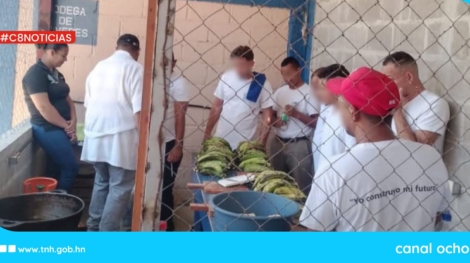 medicamentos (13)