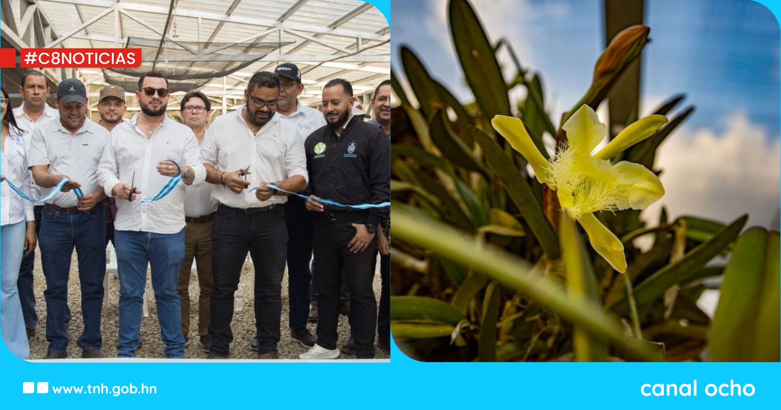Conservación y educación florecen con inauguración de orquidiario en Yoro