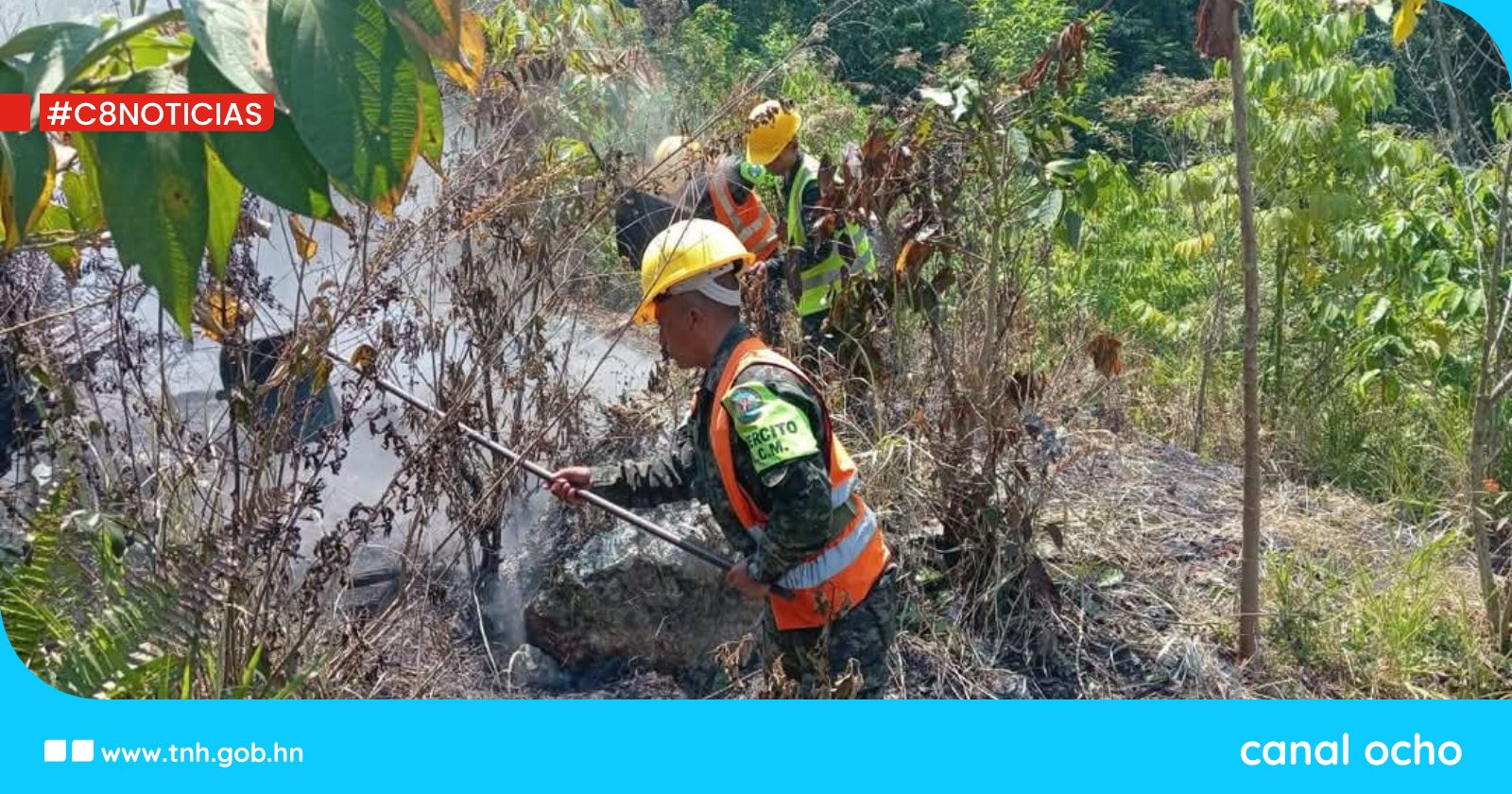 Controlan incendio forestal tras tres días de arduo combate en el Parque Nacional Cerro Azul Copán