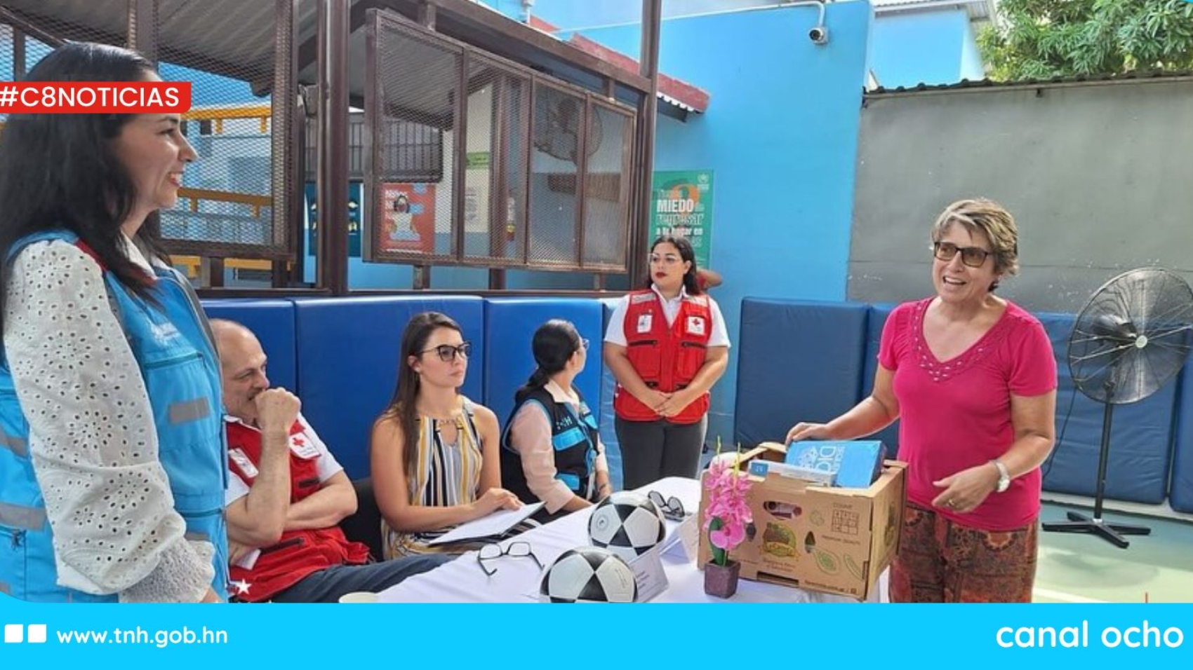 CANAL 8 WEB (1)
