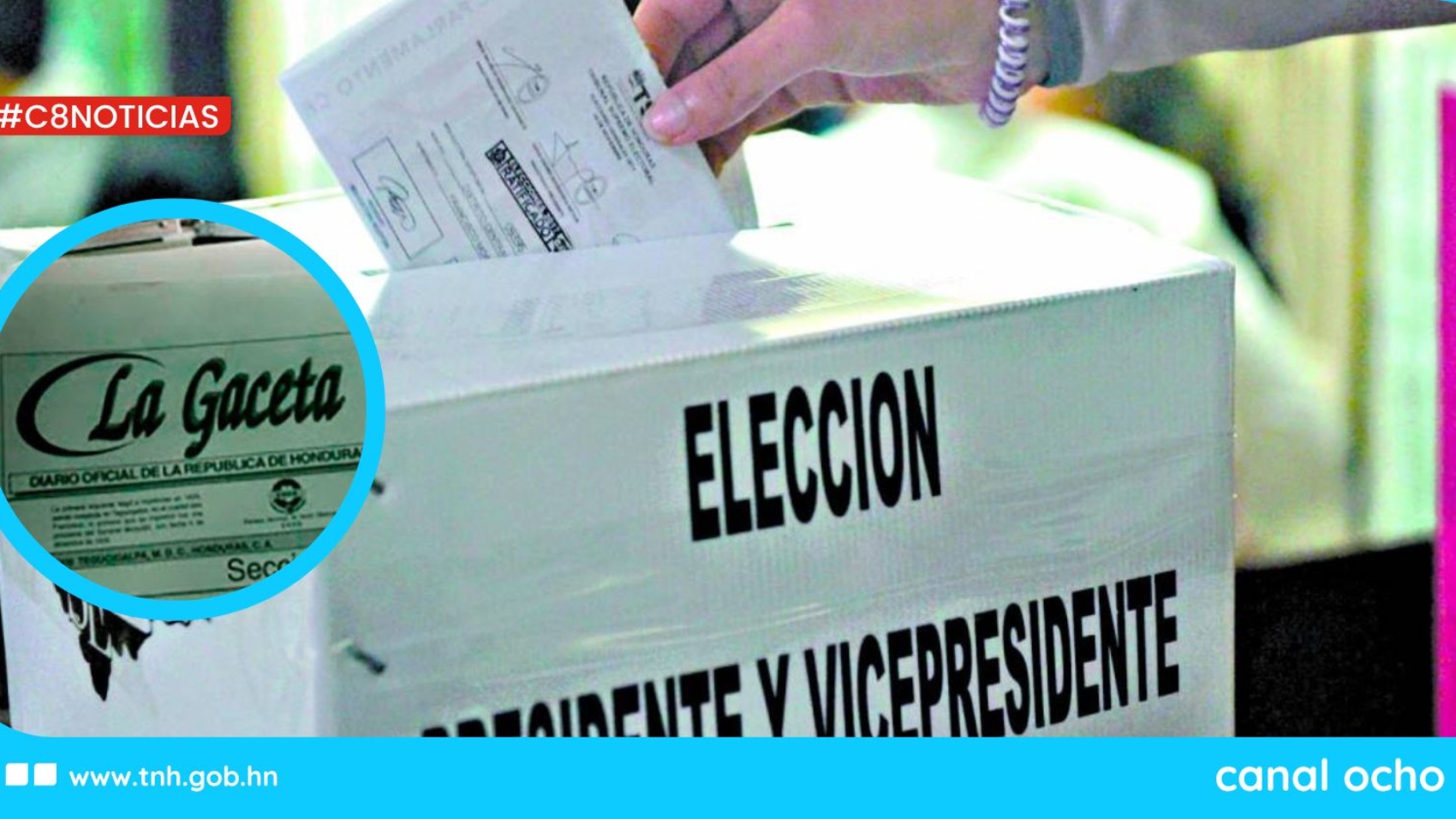 CANAL 8 WEB (1)
