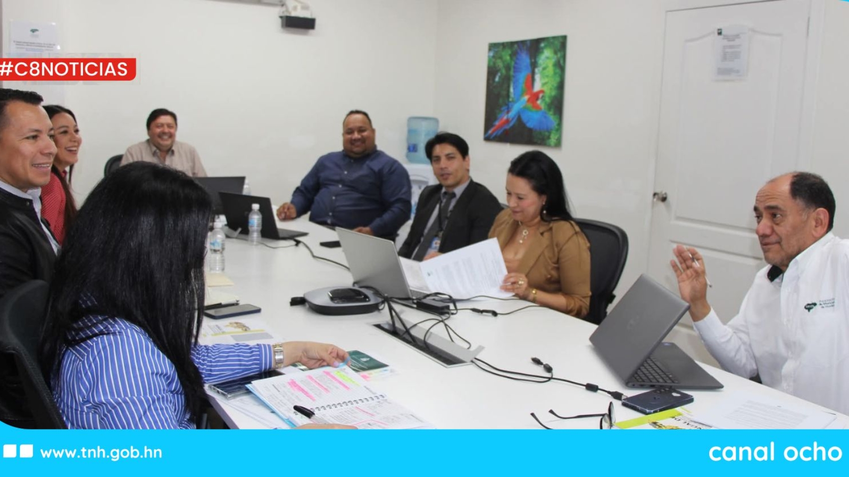 CANAL 8 WEB (2)