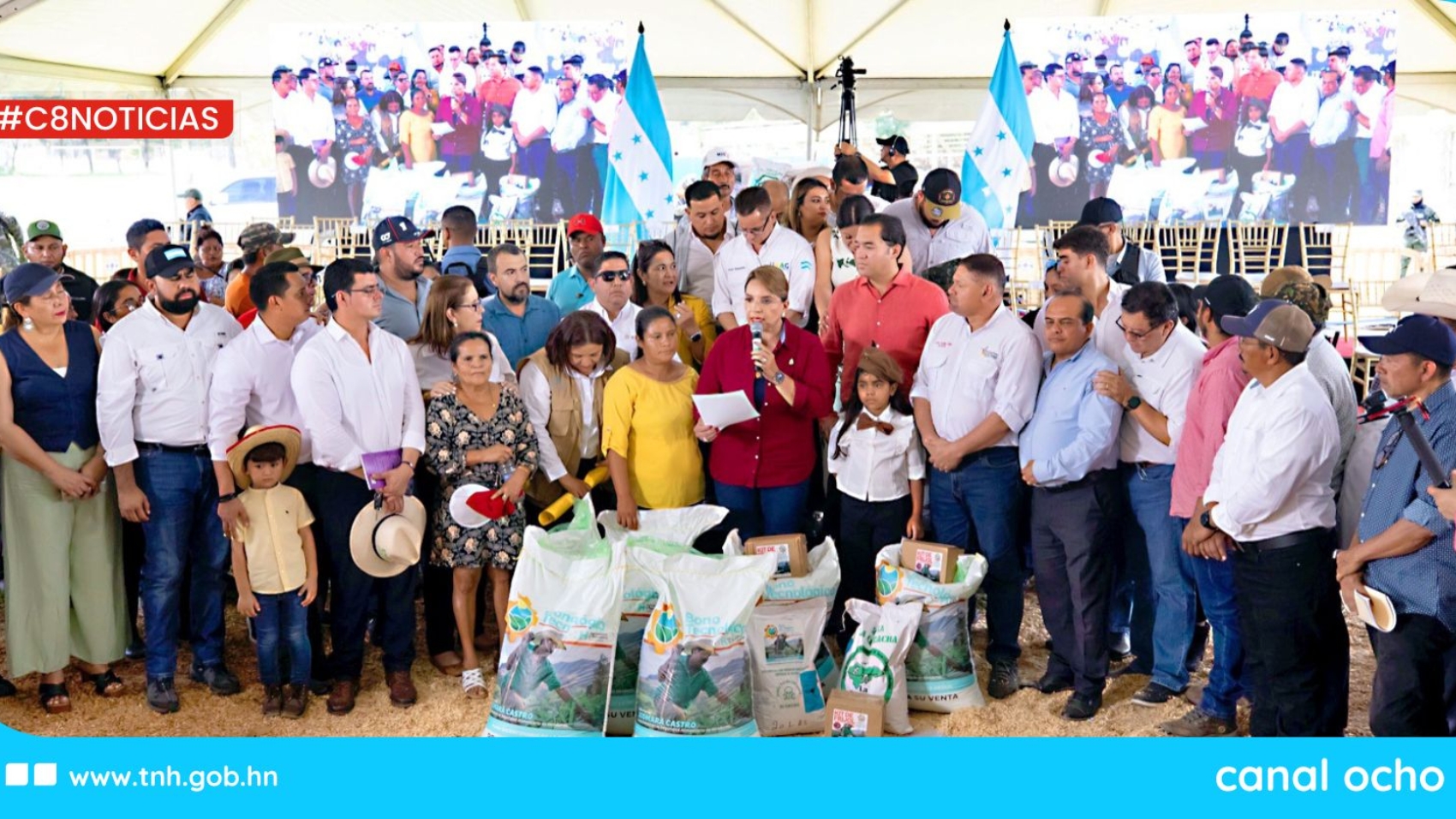 CANAL 8 WEB (2)