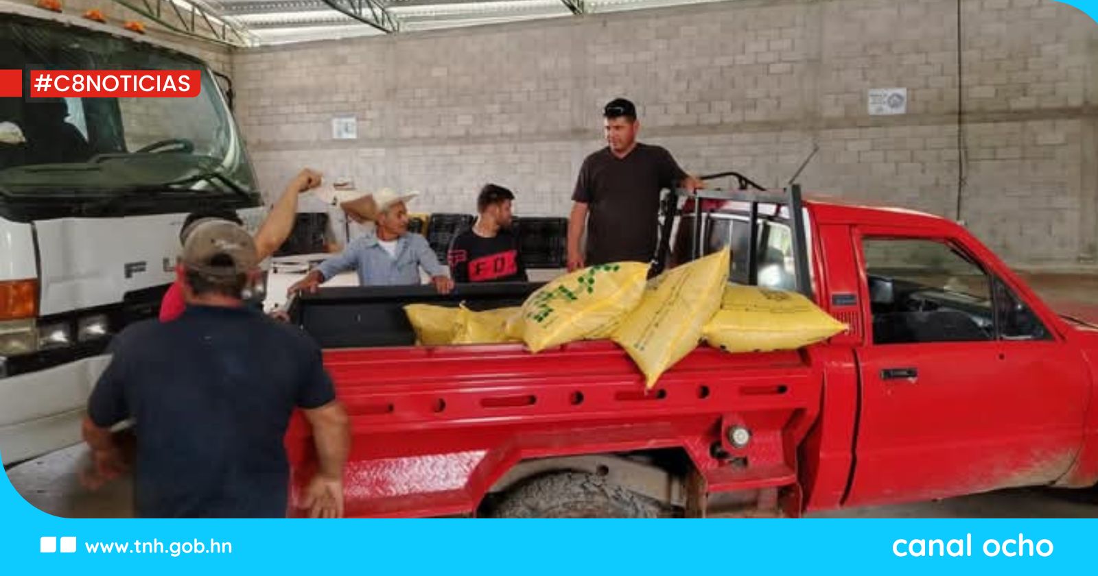 Productores rurales Aprocaun, del Corpus Copán, recepcionan  insumos agrícolas