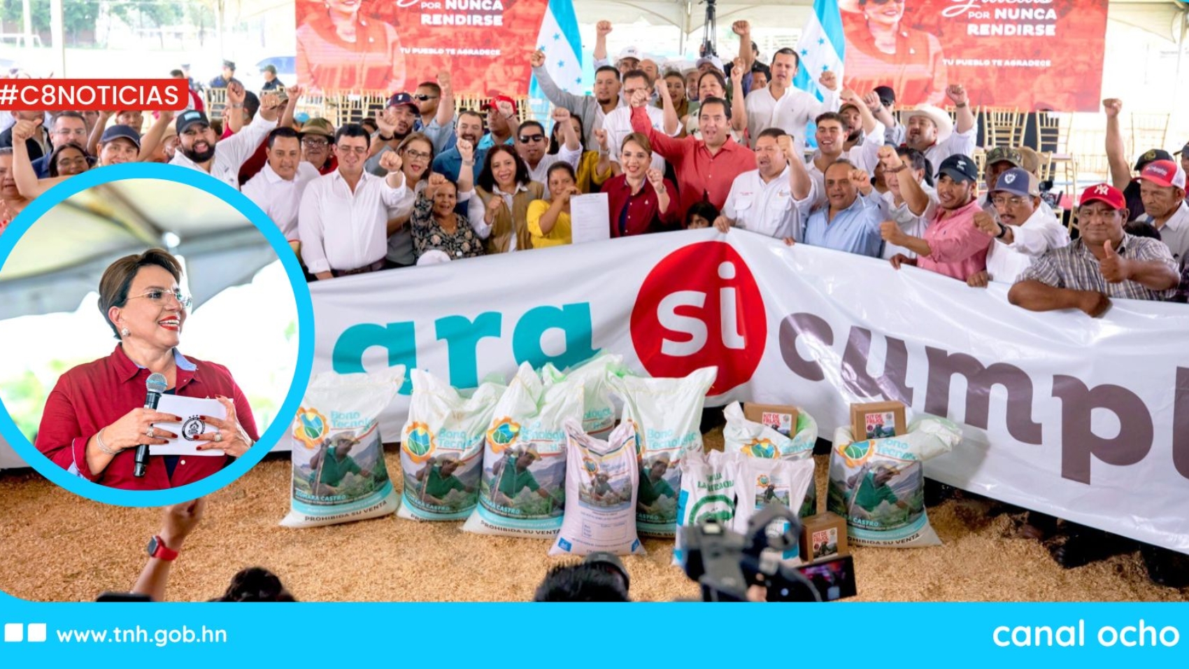 CANAL 8 WEB (3)
