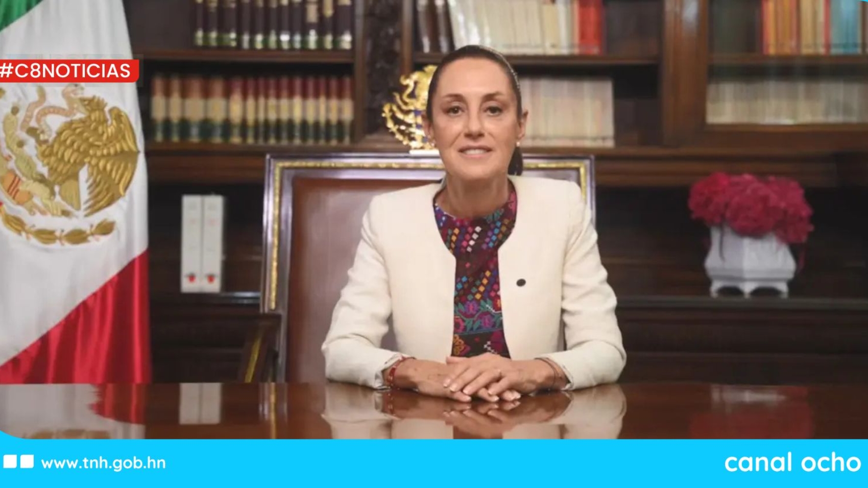 CANAL 8 WEB (4)