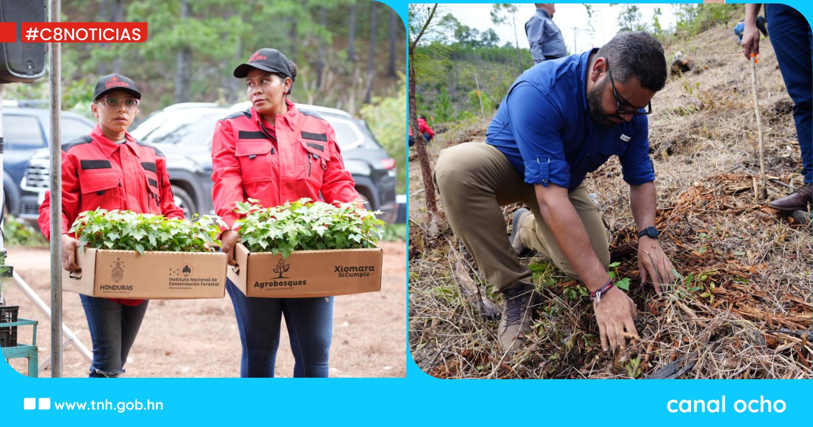 ICF lanza Campaña de Restauración Forestal 2025 para restaurar más de 59 mil hectáreas de bosque