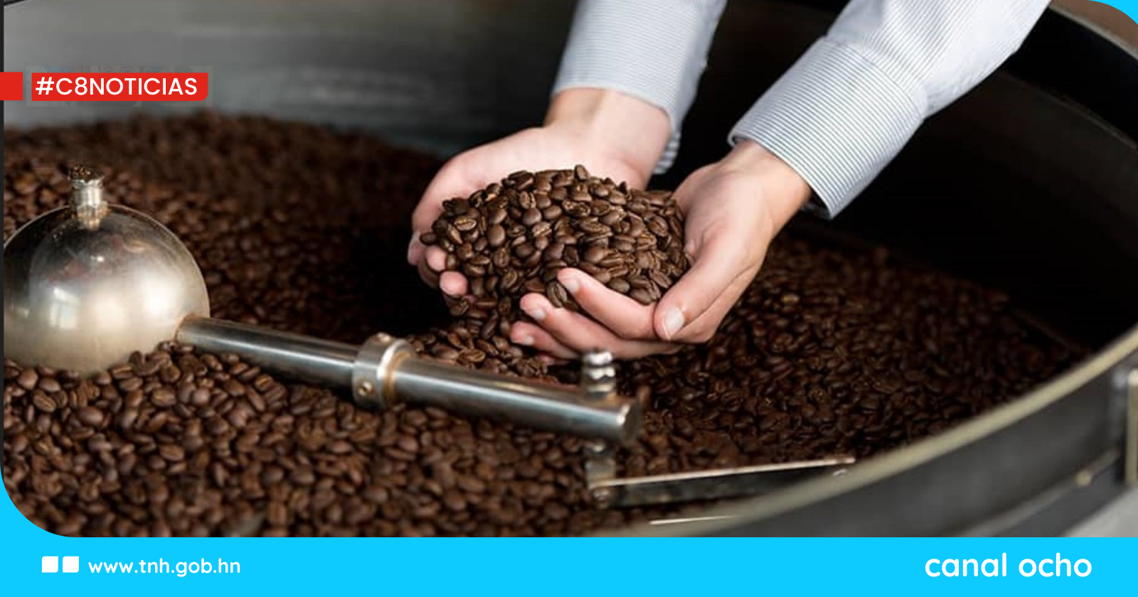 Exportaciones de café hondureño aumentan 87 % y superan los $1,600 millones