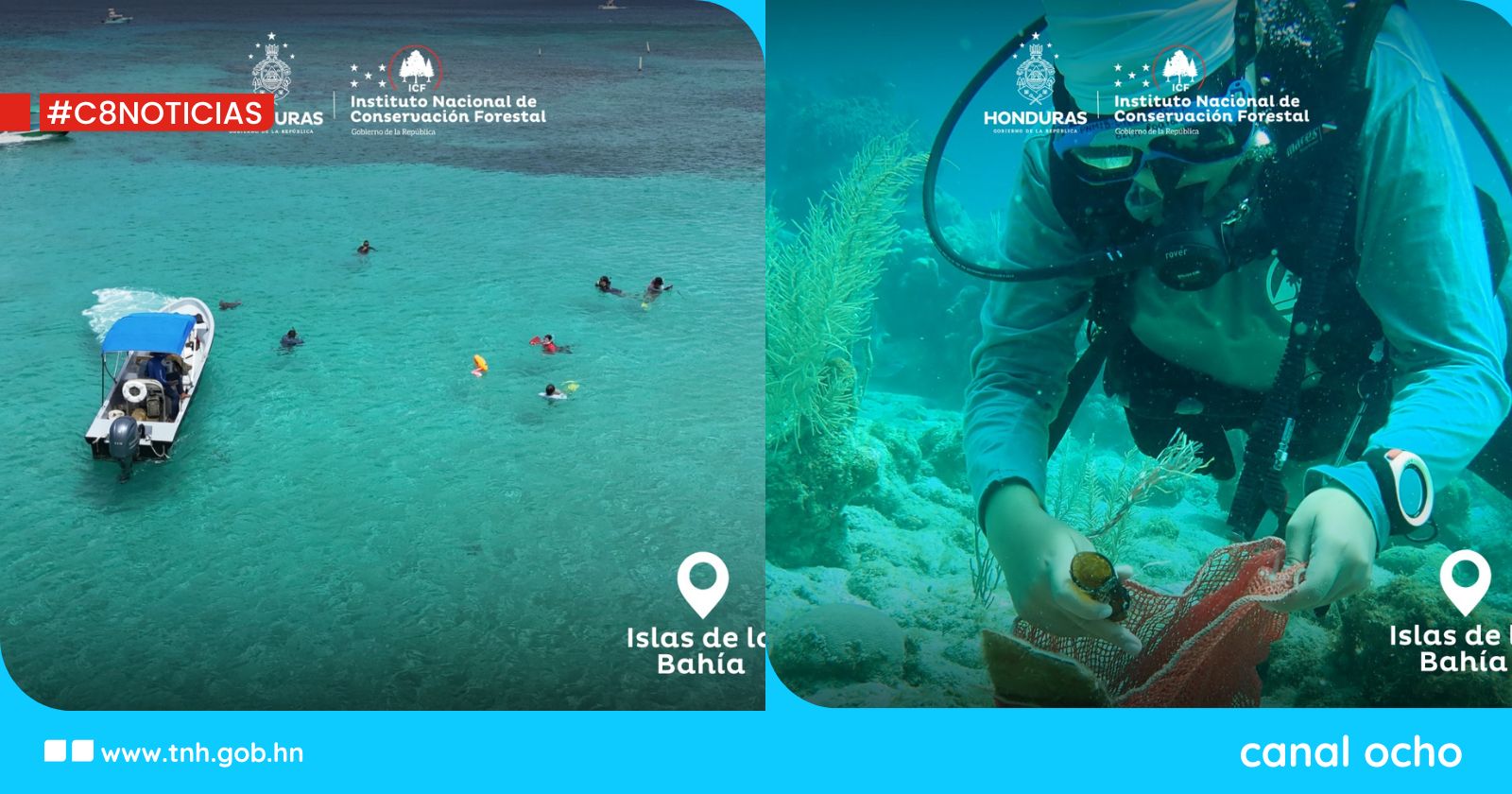 ICF conmemora el Día Mundial de los Océanos con jornada de limpieza marina en Islas de la Bahía