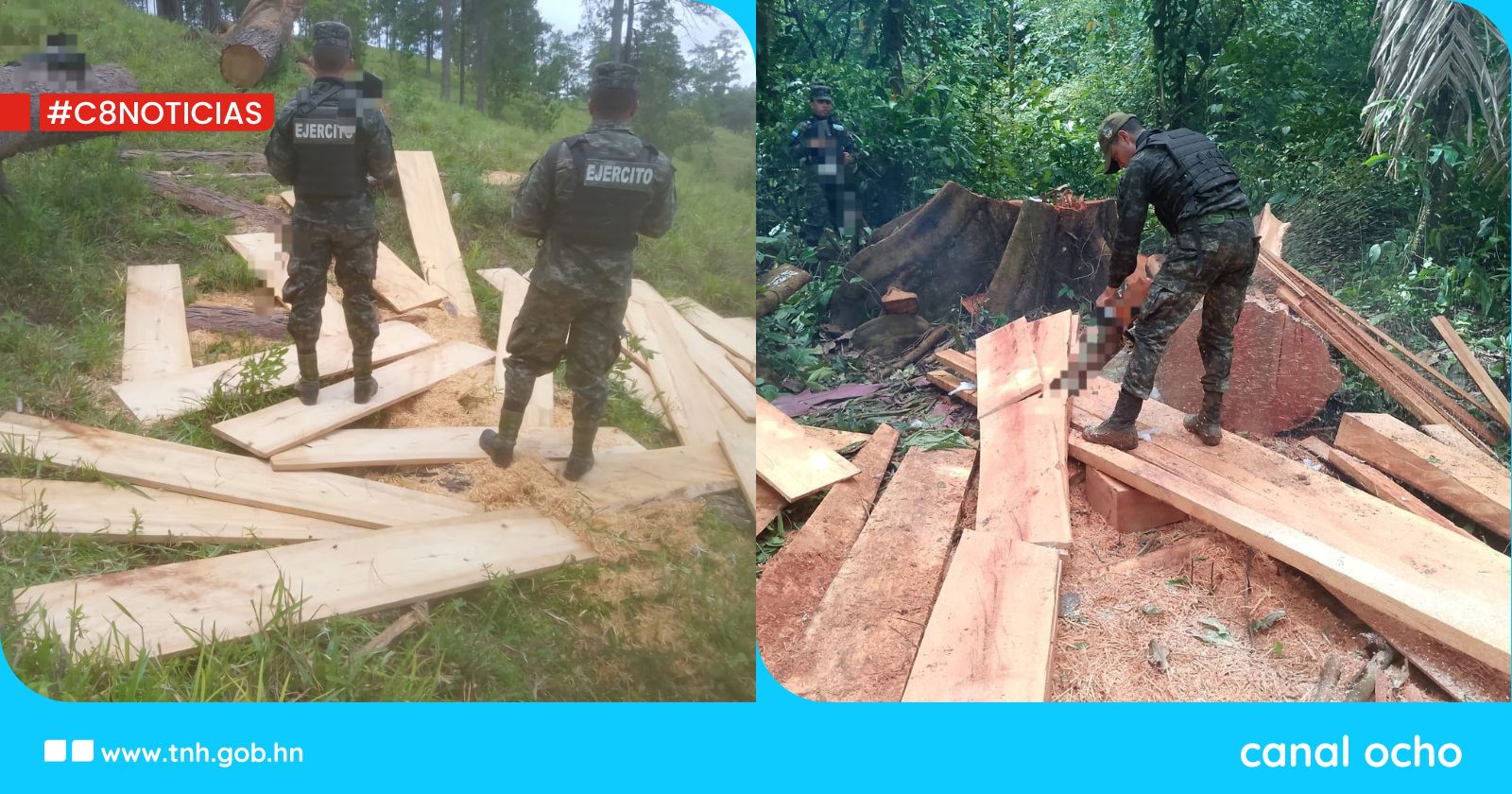 FF. AA. e ICF decomisan 2,000 pies tablares de madera en distintos puntos del país