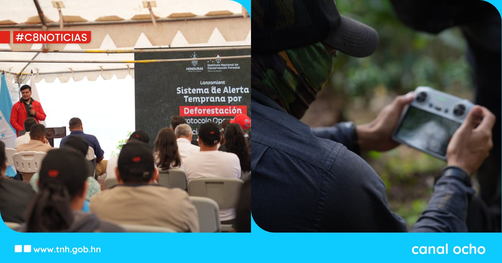 ICF lanza «Alerta Bosque» para combatir la deforestación en el país