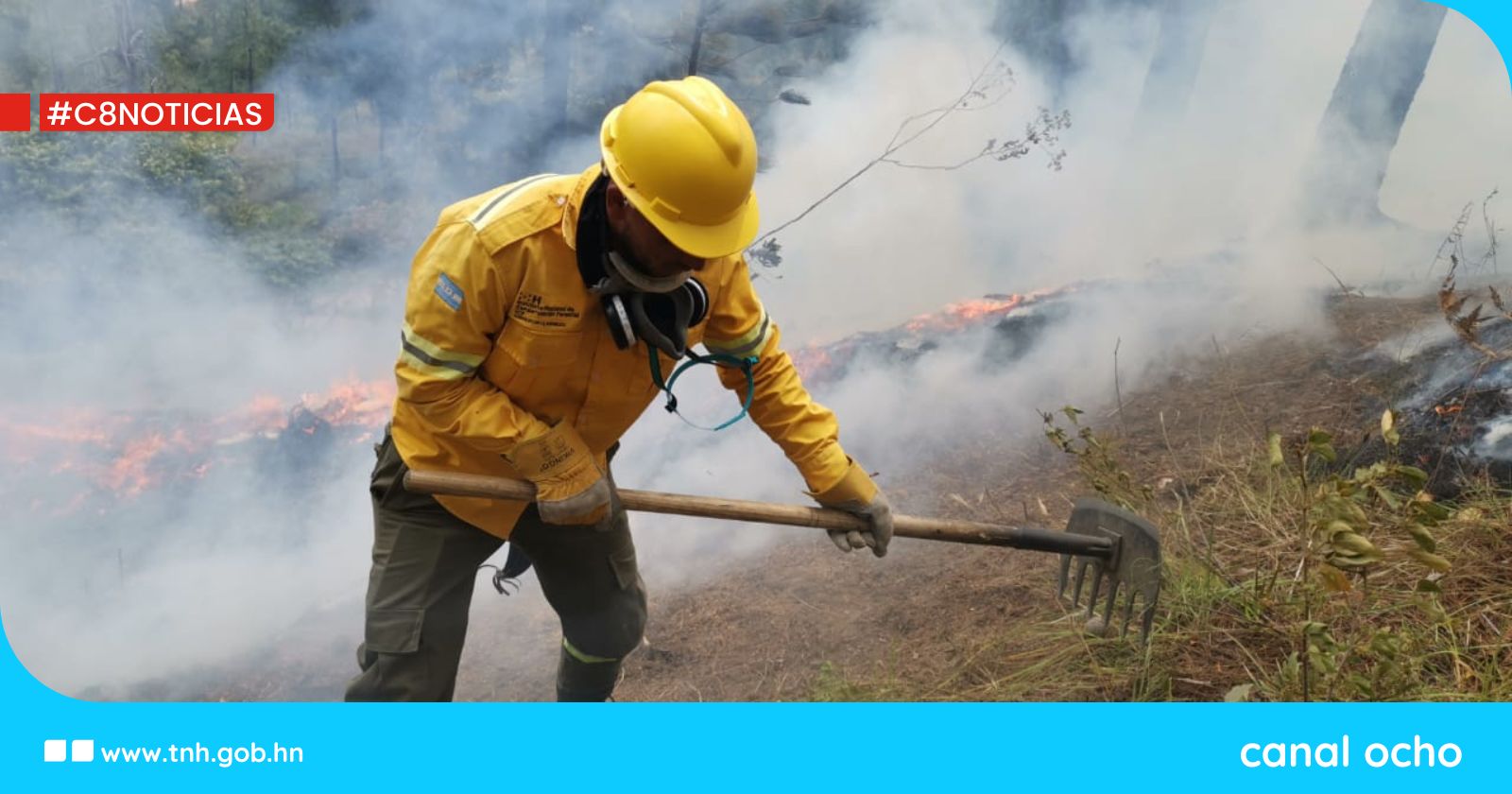ICF anuncia una disminución del 84 % en las áreas afectadas por incendios forestales