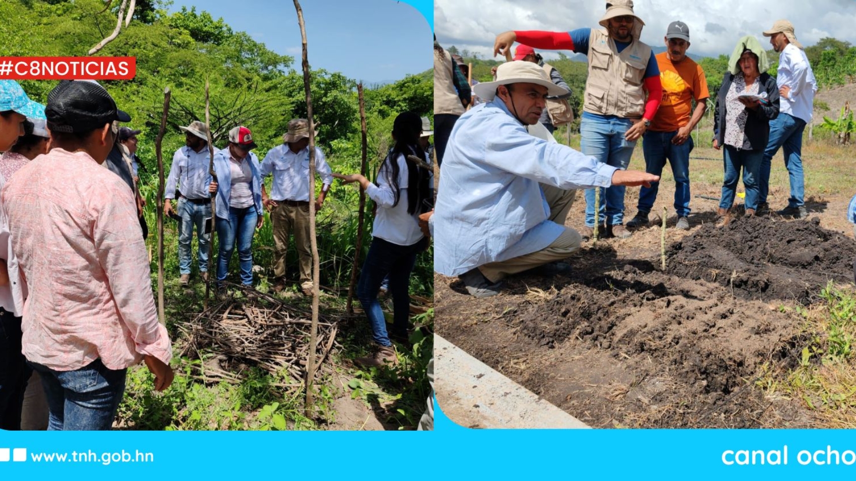productividad agrícola