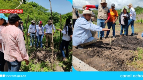 productividad agrícola