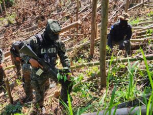 Agentes de las Fuerzas Armadas