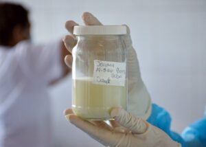 Donación de leche materna