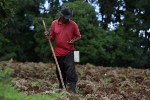 Acciones para enfrentar la sequía 
