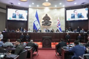 Presidente del Congreso Nacional 