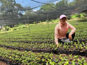 Sequia en Honduras