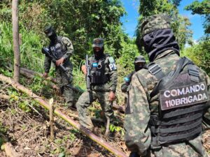 Agentes de las Fuerzas Armadas