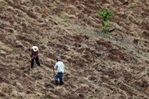 Sequía en Honduras