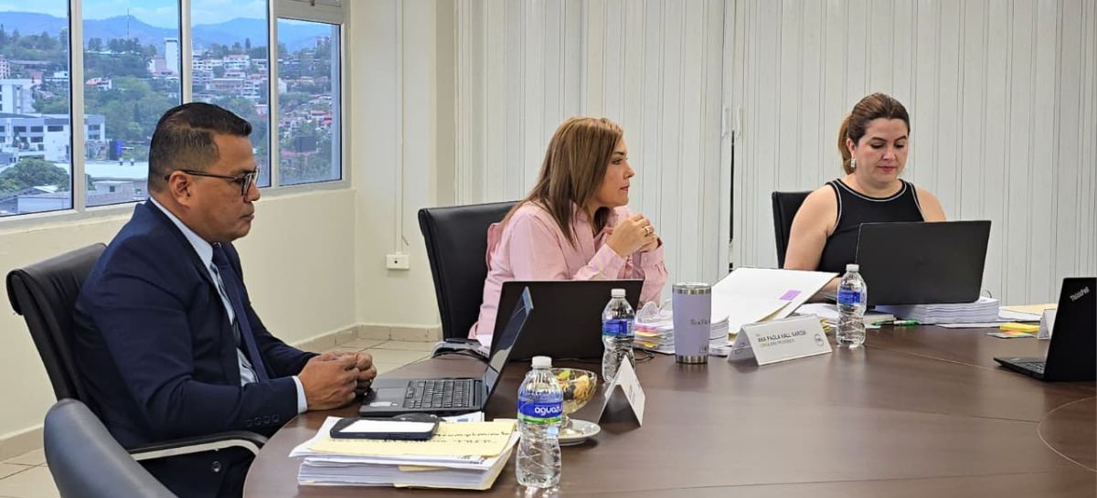 CNE reanuda sesión en medio de temas urgentes y creciente expectativa electoral